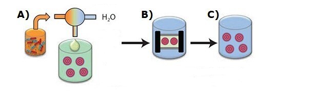 ミセルへの薬物の充填方法におけるフラッシュナノ沈殿法 の概要