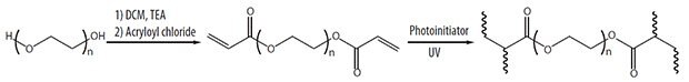 アクリル化によるPEGハイドロゲルの合成ステップ