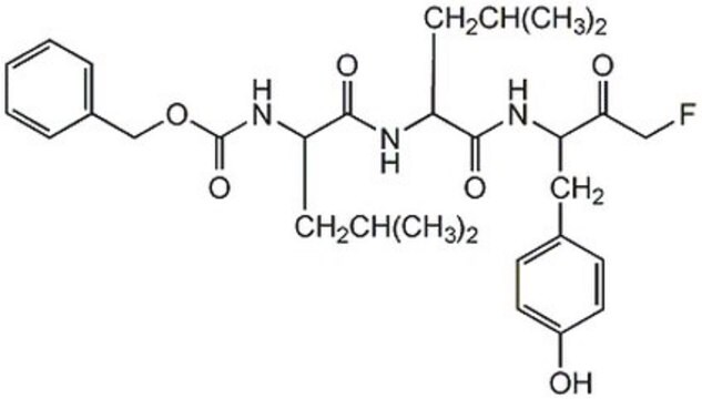 Calpain-Inhibitor&nbsp;IV The Calpain Inhibitor IV controls the biological activity of Calpain. This small molecule/inhibitor is primarily used for Protease Inhibitors applications.