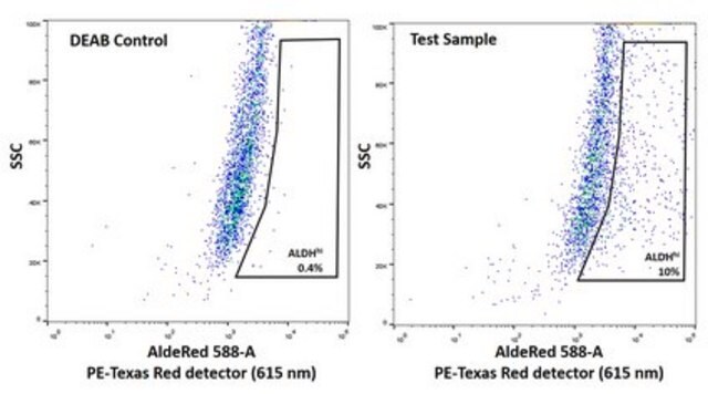 UM-SCC-47 HPV-16 Positive Squamous Carcinoma Cell Line suitable in vitro model of H&amp;N carcinoma studies