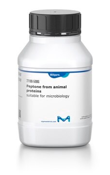 Peptone da proteine animali suitable for microbiology