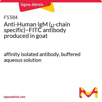 IgM anti-humana (específica de la cadena &#956;)&#8722;FITC antibody produced in goat affinity isolated antibody, buffered aqueous solution