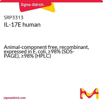 IL-17E human Animal-component free, recombinant, expressed in E. coli, &#8805;98% (SDS-PAGE), &#8805;98% (HPLC)