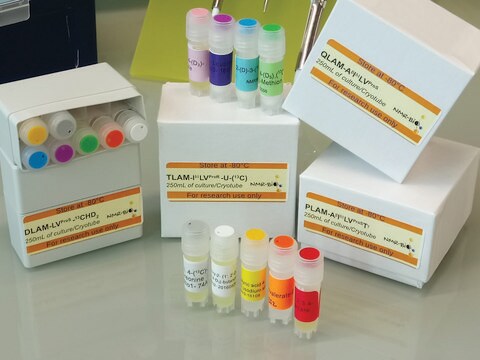 PLAM-A&#946;I&#948;1LVProST&#947;-13CH3 Methyl Labeling Kit