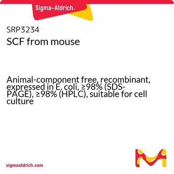 SCF マウス由来 Animal-component free, recombinant, expressed in E. coli, &#8805;98% (SDS-PAGE), &#8805;98% (HPLC), suitable for cell culture