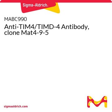 Anti-TIM4/TIMD-4 Antibody, clone Mat4-9-5