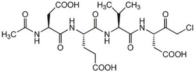 Caspase-3-Inhibitor&nbsp;III The Caspase-3 Inhibitor III, also referenced under CAS 285570-60-7, controls the biological activity of Caspase-3. This small molecule/inhibitor is primarily used for Cancer applications.