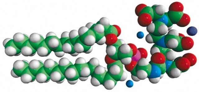 16:0 PE-DTPA (Gd) 1,2-dipalmitoyl-sn-glycero-3-phosphoethanolamine-N-diethylenetriaminepentaacetic acid (gadolinium salt), powder