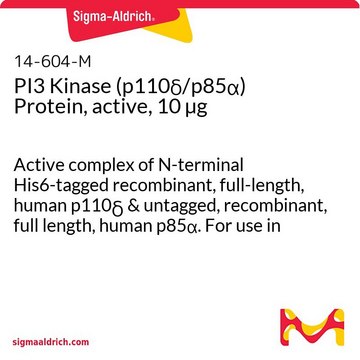 Kinaza PI3 (p110δ/p85α) Białko, aktywne, 10 µg Active complex of N-terminal His6-tagged recombinant, full-length, human p110&#948; &amp; untagged, recombinant, full length, human p85&#945;. For use in Kinase Assays.