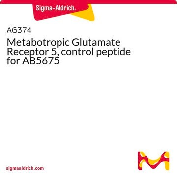 Metabotropic Glutamate Receptor 5, control peptide for AB5675