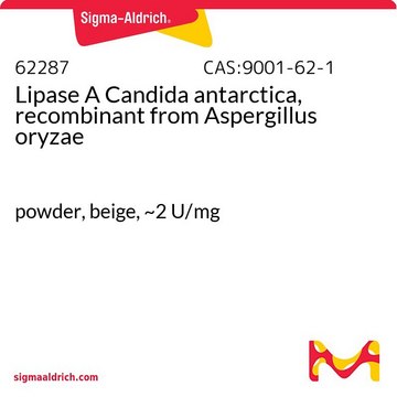 Lipase A Candida antarctica, recombinant from Aspergillus oryzae powder, beige, ~2&#160;U/mg