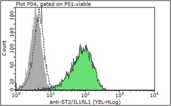 Anti-IL1RL1, clone RMST2-2, Azide Free Antibody clone RMST2-2, from rat