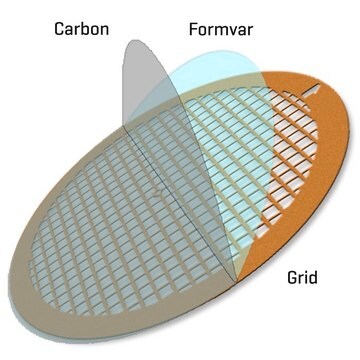 Formvar/Carbon Supported Gold Grids size 150&#160;mesh, box of 25 ×