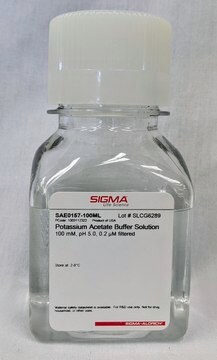 Potassium Acetate Buffer Solution 100 mM, pH 5.0, 0.2 &#956;M filtered