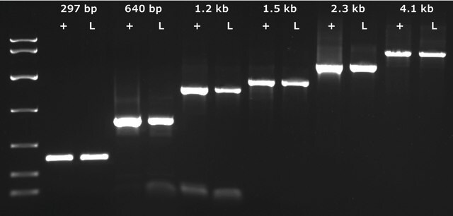 KAPA3G Plant PCR Kit