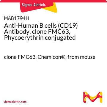 Anti-Human-B-Zellen (CD19)-Antikörper, Klon&nbsp;FMC63, Phykoerythrin-konjugiert clone FMC63, Chemicon&#174;, from mouse