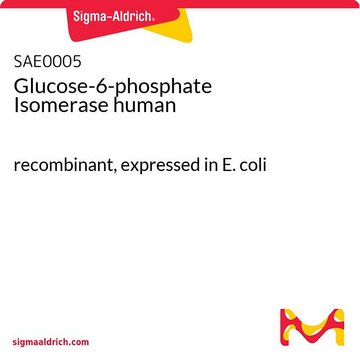 Glucose-6-phosphate Isomerase human recombinant, expressed in E. coli