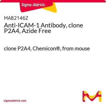 Anti-ICAM-1 Antibody, clone P2A4, Azide Free clone P2A4, Chemicon&#174;, from mouse