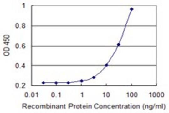 Monoclonal Anti-PPIL2 antibody produced in mouse clone 2A10, purified immunoglobulin, buffered aqueous solution