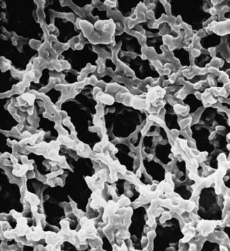 Membrana de filtración MF-Millipore&#8482;, tamaño de poro 0,45 &#181;m MF-Millipore&#8482;, filter diam. 47&#160;mm, hydrophilic, white, gridded, pkg of 100&#160;discs