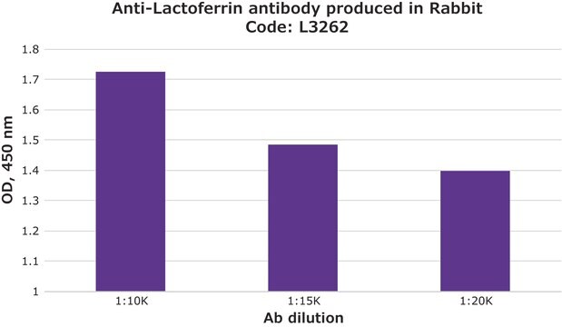 抗ラクトフェリン抗体 ウサギ宿主抗体 fractionated antiserum, lyophilized powder