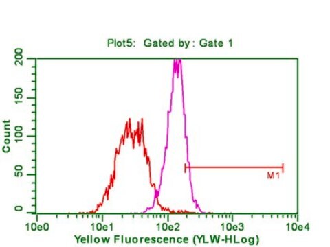 Anticuerpo anti-fosfo-Akt (Ser473), clon 6F5 clone 6F5, from mouse