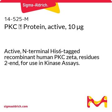 PKC &#950; Protein, active, 10 &#181;g Active, N-terminal His6-tagged recombinant human PKC zeta, residues 2-end, for use in Kinase Assays.