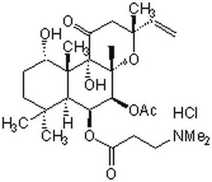 Forskolin, NKH477 A cell-permeable and water-soluble Forskolin derivative that is ~1.87-fold more potent than Forskolin in stimulating type V adenylate cyclase (AC) activity, while exhibiting similar potency as Forskolin toward type II &amp; III AC.