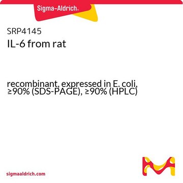 IL-6 from rat recombinant, expressed in E. coli, &#8805;90% (SDS-PAGE), &#8805;90% (HPLC)