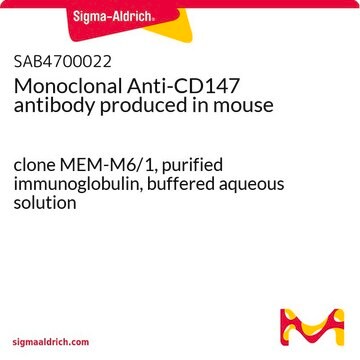 Monoclonal Anti-CD147 antibody produced in mouse clone MEM-M6/1, purified immunoglobulin, buffered aqueous solution