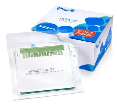 mPAGE&#174; 4–20% Bis-Tris vorgegossenes Gel L × W × wells 10&#160;cm × 8&#160;cm × 15&#160;well