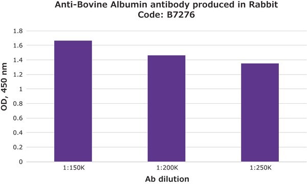 Anticorps anti-albumine bovine antibody produced in rabbit fractionated antiserum, lyophilized powder