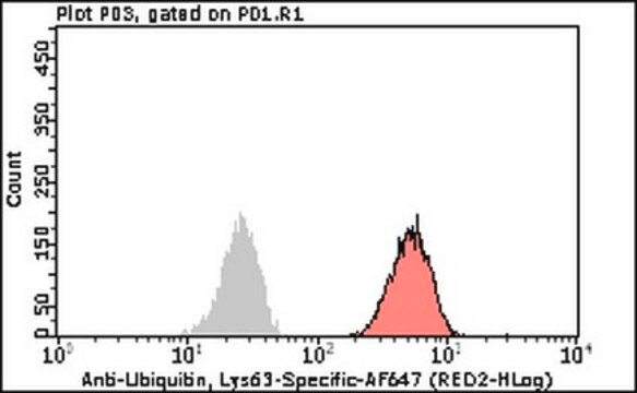 Milli-Mark&#174; Anti-Ubiquitin Antibody, Lys63-Specific-Alexa Fluor&#8482;647, clone Apu3 clone Apu3, Milli-Mark&#174;, from rabbit