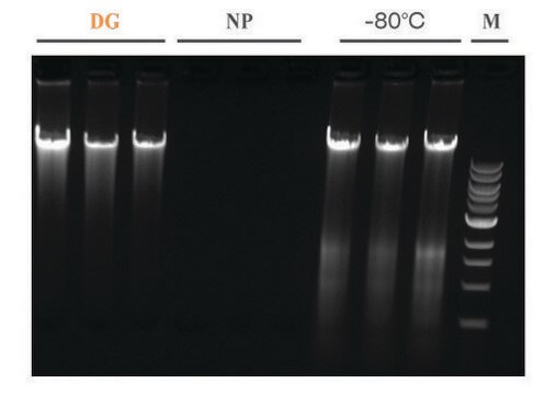 DNAgard&#174; Tissue 100 mL bottle, for room temp preservation of DNA