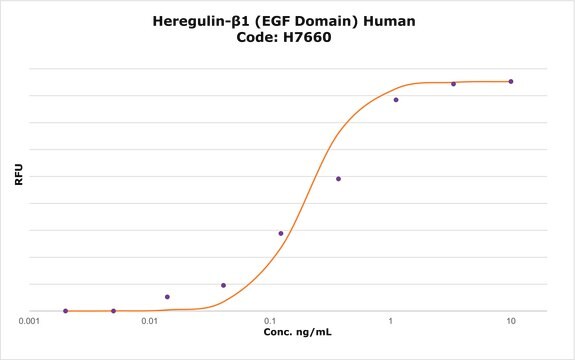 ヘレグリン-&#946;1 (EGF領域) ヒト &#8805;98% (SDS-PAGE), recombinant, expressed in E. coli, lyophilized powder