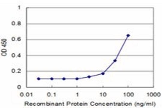 Monoclonal Anti-RPS20 antibody produced in mouse clone 1G12, purified immunoglobulin, buffered aqueous solution