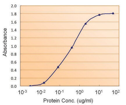 Anti-TTR antibody produced in goat affinity isolated antibody, buffered aqueous solution