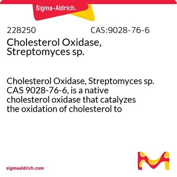 Cholesterinoxidase, Streptomyces sp. Cholesterol Oxidase, Streptomyces sp. CAS 9028-76-6, is a native cholesterol oxidase that catalyzes the oxidation of cholesterol to cholesterone and hydrogen peroxide.