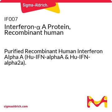 Interferon-&#945; A Protein, Recombinant human Purified Recombinant Human Interferon Alpha A (Hu-IFN-alphaA &amp; Hu-IFN-alpha2a).