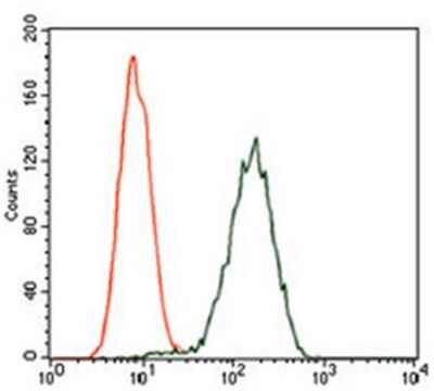 Anti-GPC3-Antikörper, Klon&nbsp;9C2 ascites fluid, clone 9C2, from mouse