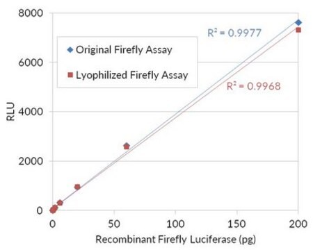 Glühwürmchen-Luciferase-Assay (lyophylisiert) Lyophilized flash-type luciferase assay designed for simple and efficient quantitation of firefly luciferase reporter enzyme activity from cultured cells with high sensitivity and linearity.