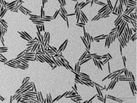 CdSe/CdS core-shell type quantum rods fluorescence &#955;em&#160;620&#160;nm, 5&#160;mg/mL in hexane