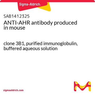 ANTI-AHR antibody produced in mouse clone 3B1, purified immunoglobulin, buffered aqueous solution