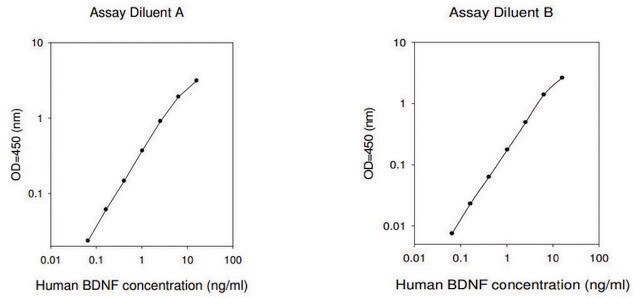 ヒトBDNF ELISAキット for serum, plasma, cell culture supernatant and urine