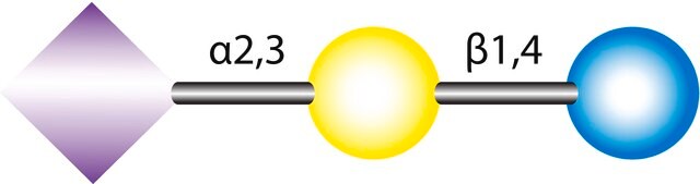 3&#8242;-Sialyllactose from bovine milk or colostrum, &#8805;97% (HPLC)