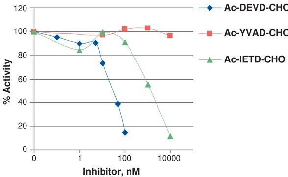 カスパーゼ3 ヒト &#8805;85% (SDS-PAGE), recombinant, expressed in E. coli (C-terminal histidine-tagged), buffered aqueous glycerol solution, &#8805;1.0&#160;units/mg protein