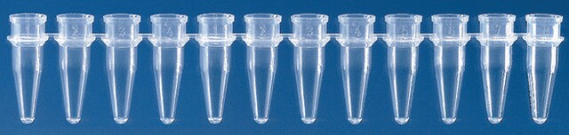 BRAND&#174; strips of 12 PCR tubes polypropylene tube, colorless, thin-walled