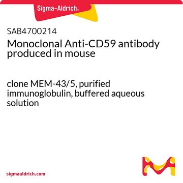 Monoclonal Anti-CD59 antibody produced in mouse clone MEM-43/5, purified immunoglobulin, buffered aqueous solution