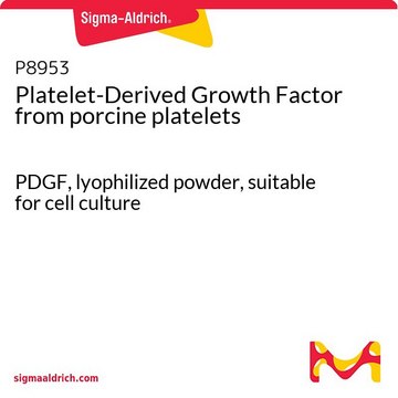 血小板由来成長因子 ブタ血小板由来 PDGF, lyophilized powder, suitable for cell culture