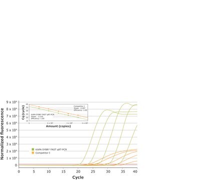 KAPA SYBR&#174; FAST One-Step suitable for RT-PCR, 2&#160;×, Universal